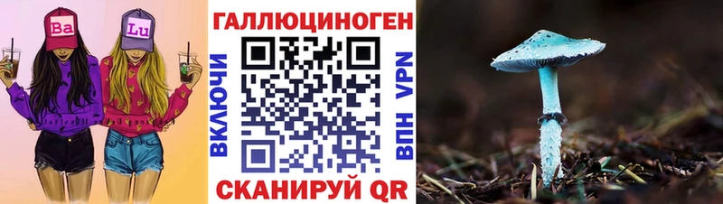 Галлюциногенные грибы Psilocybine cubensis  Купить  Карачаевск 