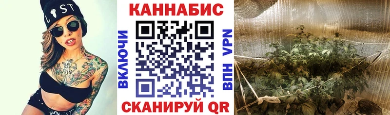 Купить закладки  Карачаевск  Бошки марихуана индика 